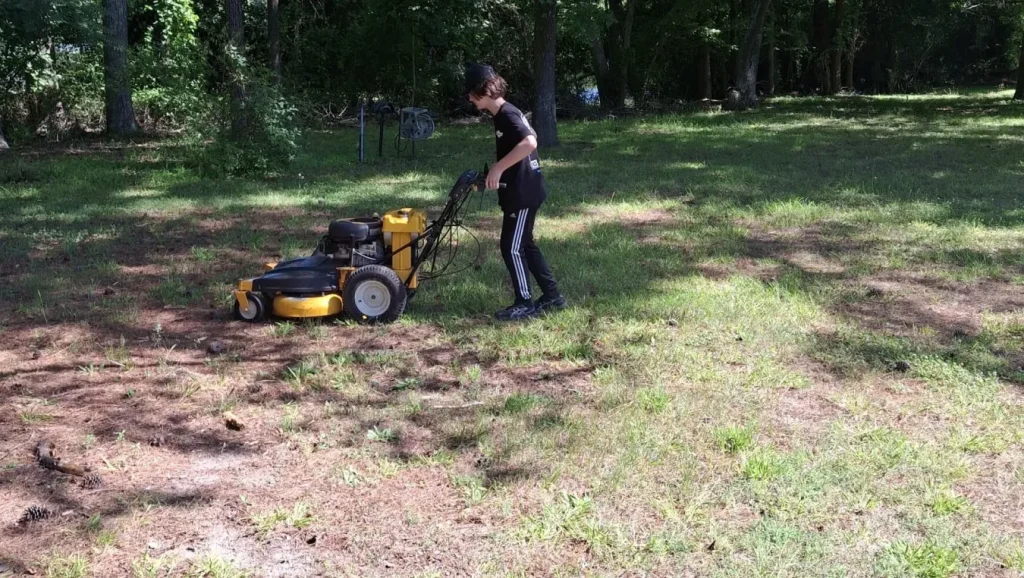 Property Cleanup & Seasonal Services 1 Property Cleanup & Seasonal Services 1